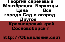 Георгин сиреневый. Монтбреция. Бархатцы.  › Цена ­ 100 - Все города Сад и огород » Другое   . Красноярский край,Сосновоборск г.